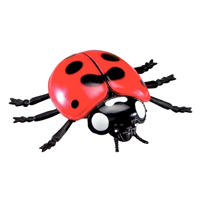 Boite de 7 Jumbo insectes