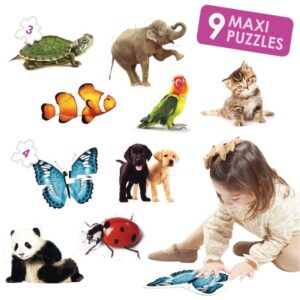 Boite de 9 maxi puzzles contour animaux