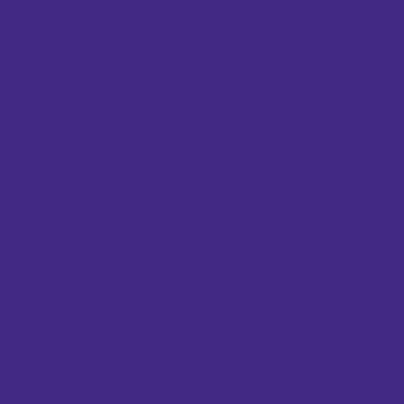 Boîte de 12 feutres Visacolor 1161 violet