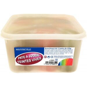 Boîte de 12 pains de 250 grammes de pâte à jouer couleurs vives assorties