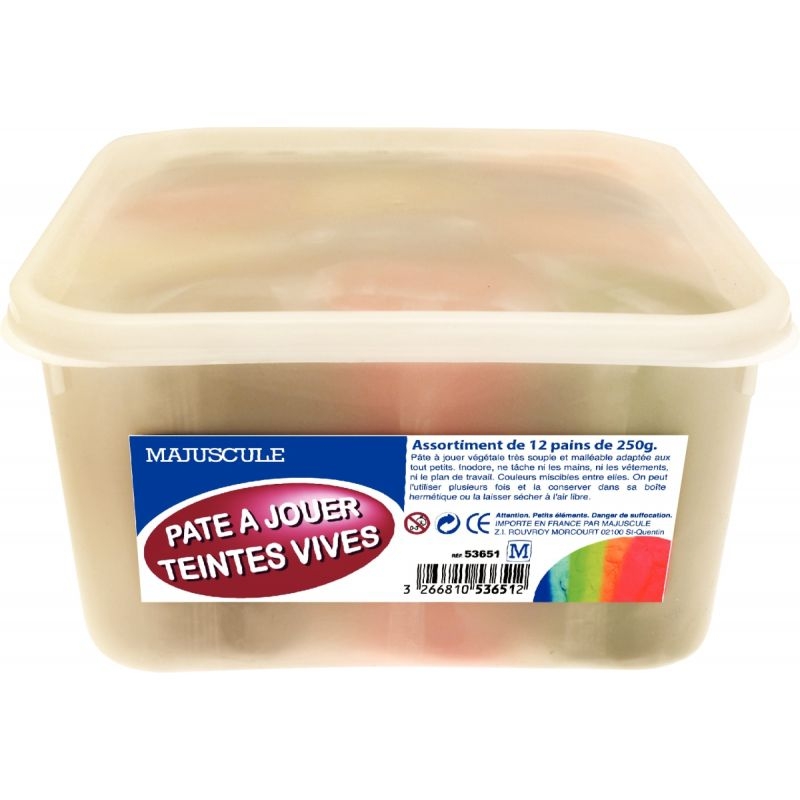 Boîte de 12 pains de 250 grammes de pâte à jouer couleurs vives assorties