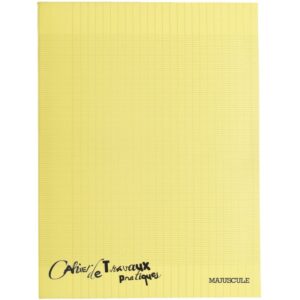 Cahier de travaux pratiques