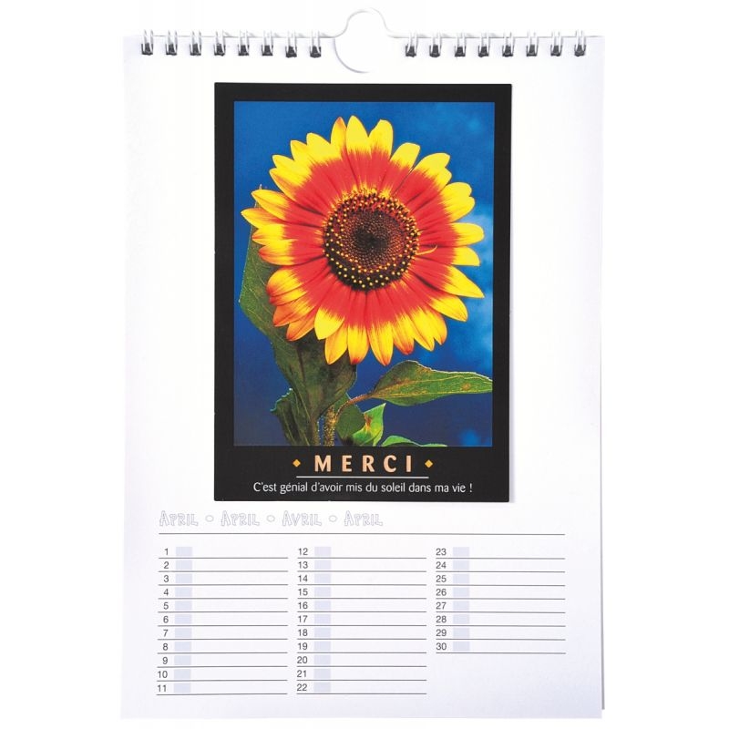 Calendrier à décorer format : 17×24 cm