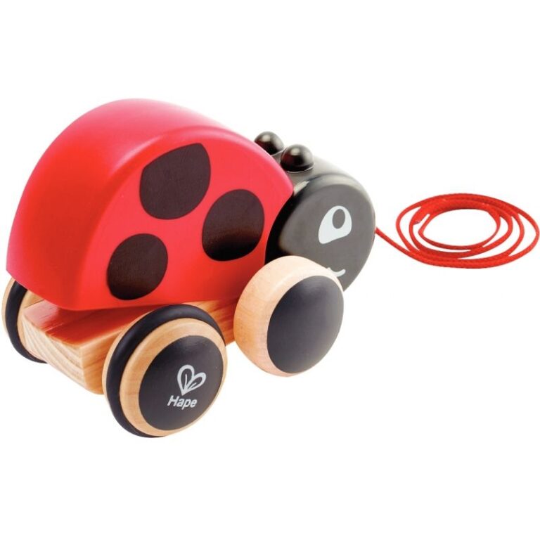 Jouet En Bois Coccinelle à Pousser - Pour Bébé Dès 12 Mois, Aide à La Marche, Couleurs Vives, Jouet Traditionnel - 7