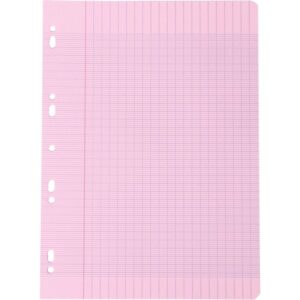 Étui de 100 feuillets mobiles coloris assortis