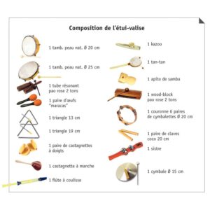 Étui de 17 instruments de musique à percussions