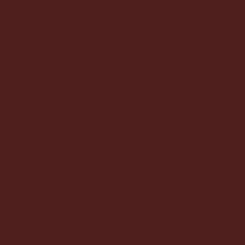 Flacon de 1L de gouache liquide GIOTTO, marron