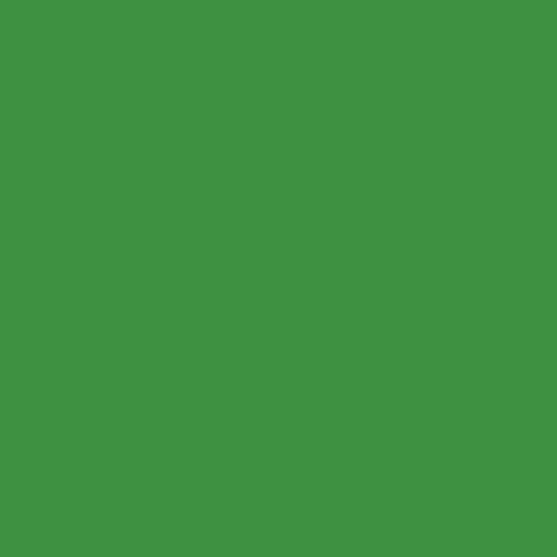 Flacon de 1L de gouache liquide lavable GIOTTO, vert foncé