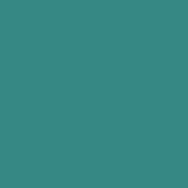 Flacon de 500 ml de peinture acrylique brillante MAJUSCULE vert sapin