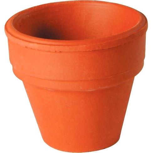 Lot de 10 petits pots en terre cuite