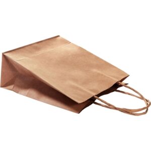 Lot de 20 sacs en kraft brun