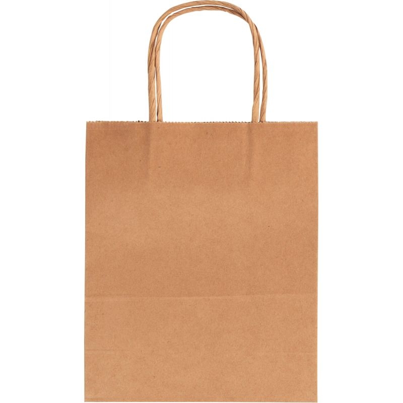 Lot de 20 sacs en kraft brun