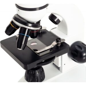 Microscope