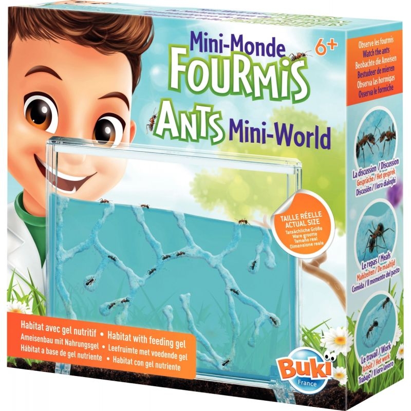 Mini monde des fourmis