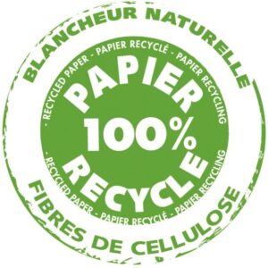Paquet de 10 feuilles de Carta 50×65 cm 270g vert clair
