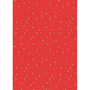 Paquet de 96 feuilles de papier motifs Noël 170 grammes 21 x 29,7 cm