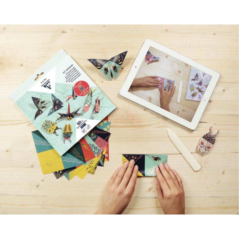 Pochette 60 feuilles origami 3 formats insectes