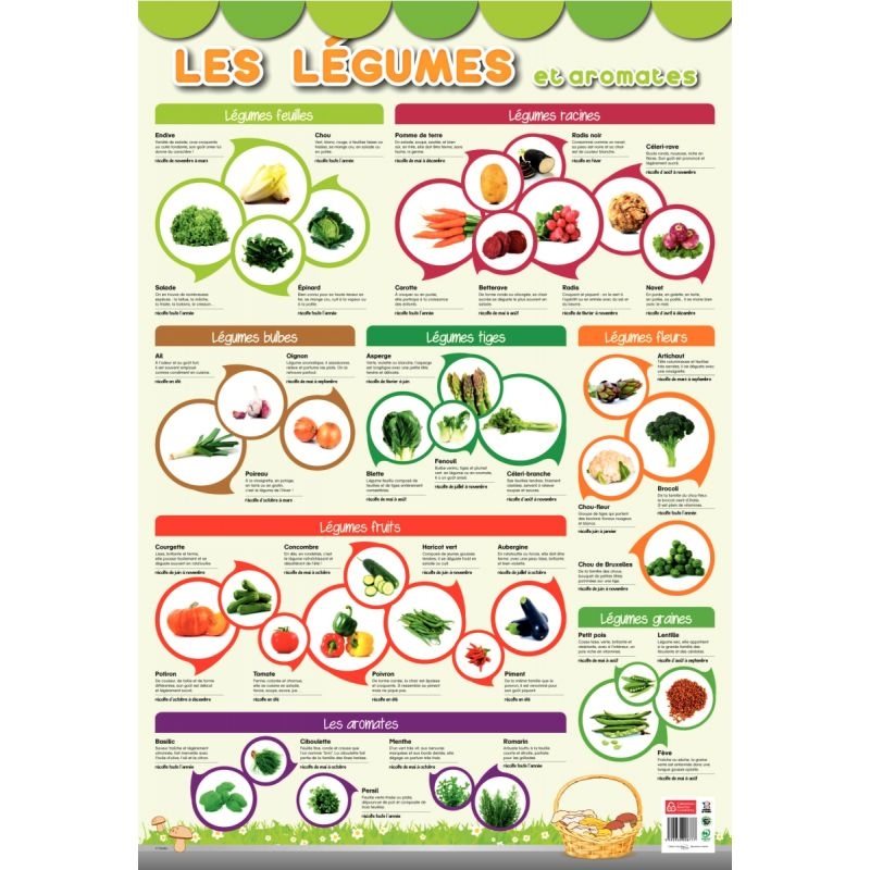 Poster Pédagogique en PVC 76x52cm – Thème Les Légumes