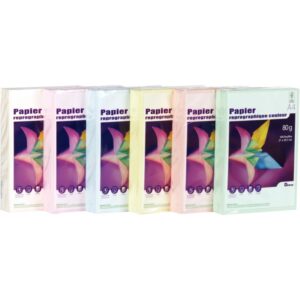 Ramette de 500 feuilles de papier 80g de format A4 saumon FIRST