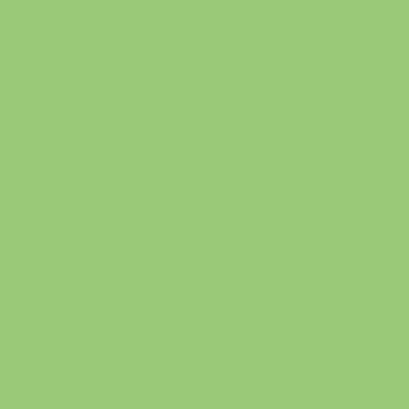 Rouleau de carton ondulé 2 x 0,70 cm couleur vert pré