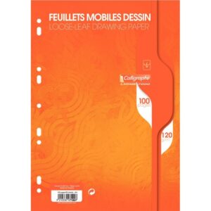 Sachet 50 feuillets mobiles dessin blanc