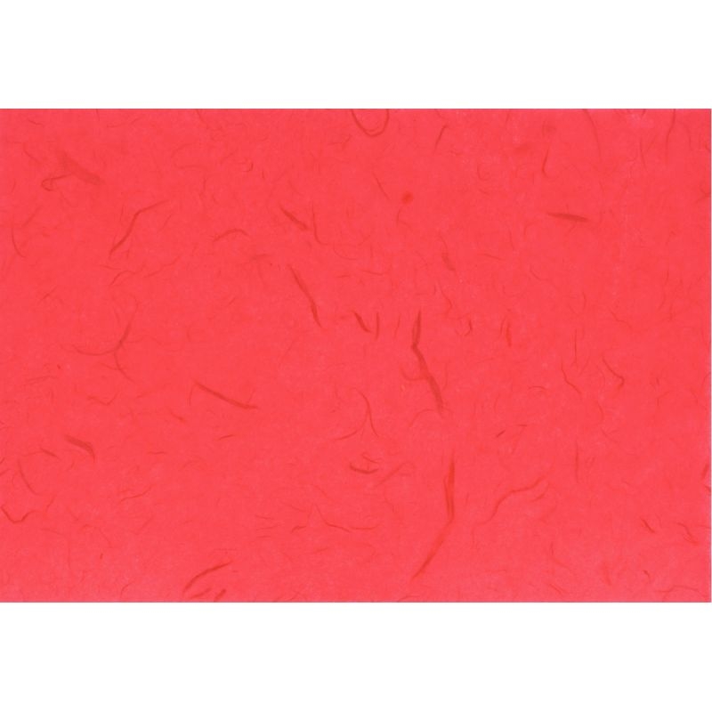 Sachet de 18 feuilles de papier naturel, format 23 x 33 cm