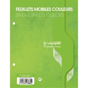 Sachet de 50 feuillets mobiles coloris vert