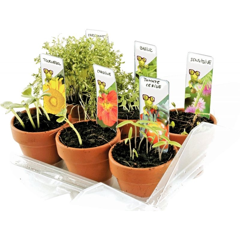 Serre de 6 pots : mon premier jardin