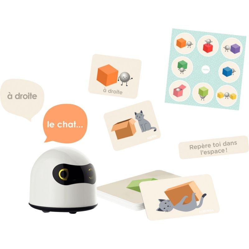 Robot ACHOKA interactif 4 langues