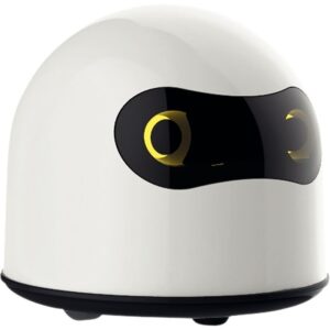 Robot ACHOKA interactif 4 langues