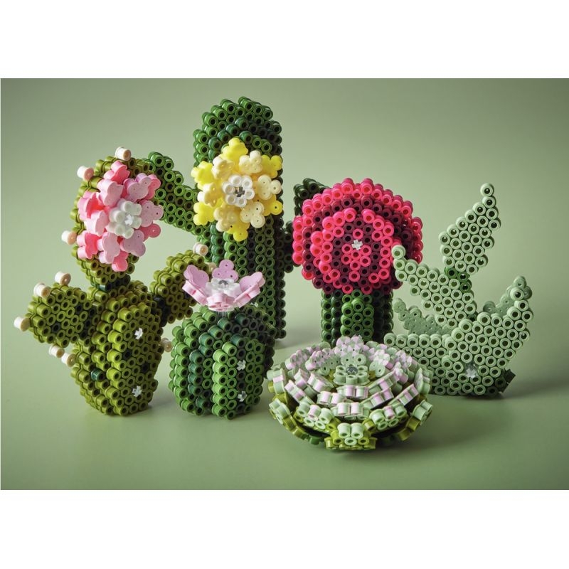 Boite hama art midi cactus