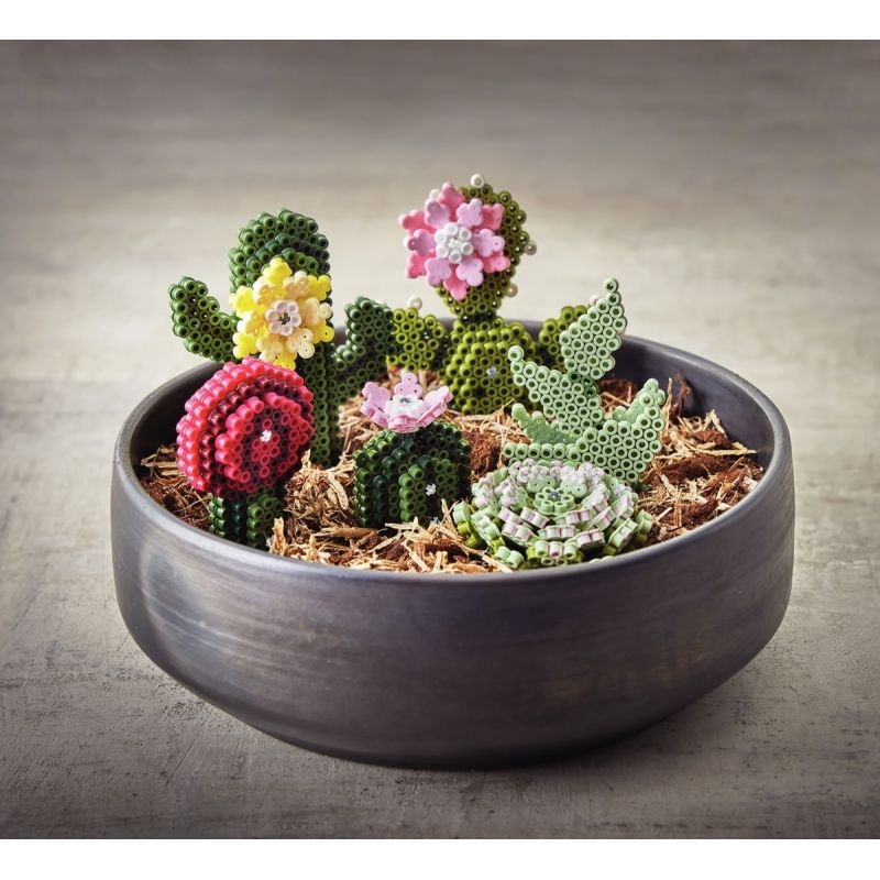 Boite hama art midi cactus