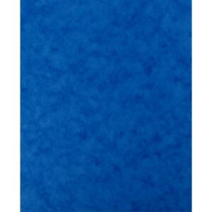 Lot de 10 protège-cahier 2 grands rabats format 18 x 22 cm carte lustrée coloris bleu