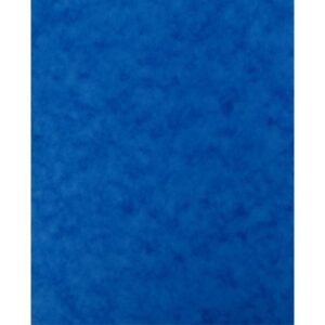 Lot de 10 protège-cahier 2 grands rabats format 18 x 22 cm carte lustrée coloris bleu