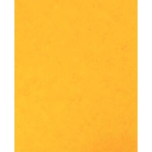 Lot de 10 protège-cahier 2 grands rabats format 18 x 22 cm carte lustrée coloris jaune