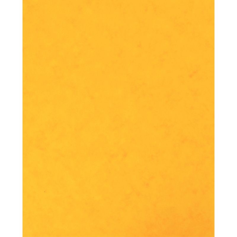 Lot de 10 protège-cahier 2 grands rabats format 18 x 22 cm carte lustrée coloris jaune