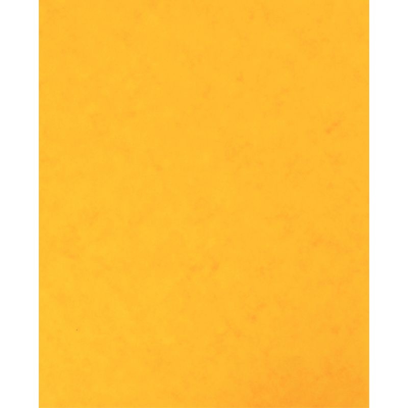 Lot de 10 protège-cahier 2 grands rabats format 18 x 22 cm carte lustrée coloris jaune