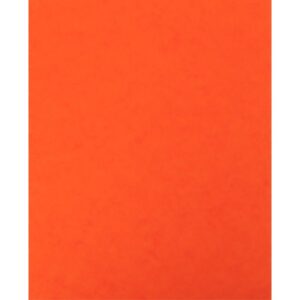 Lot de 10 protège-cahier 2 grands rabats  format 18 x 22 cm carte lustrée coloris orange