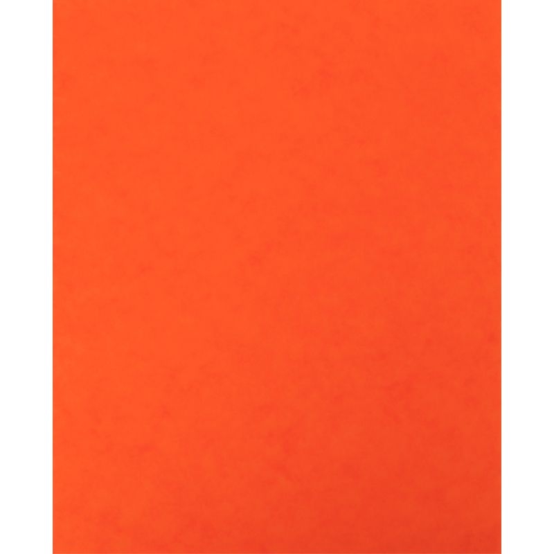 Lot de 10 protège-cahier 2 grands rabats  format 18 x 22 cm carte lustrée coloris orange