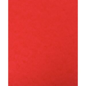 lot de 10 protège-cahier 2 grands rabats  format 18 x 22 cm carte lustrée coloris rouge