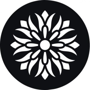 Lot de 12 pochoirs ronds Mandala