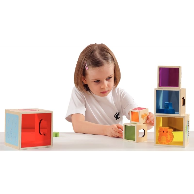 Lot de 6 cubes en bois, formes et couleurs
