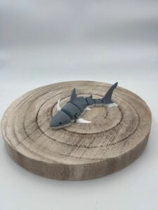 REQUIN ARTICULE