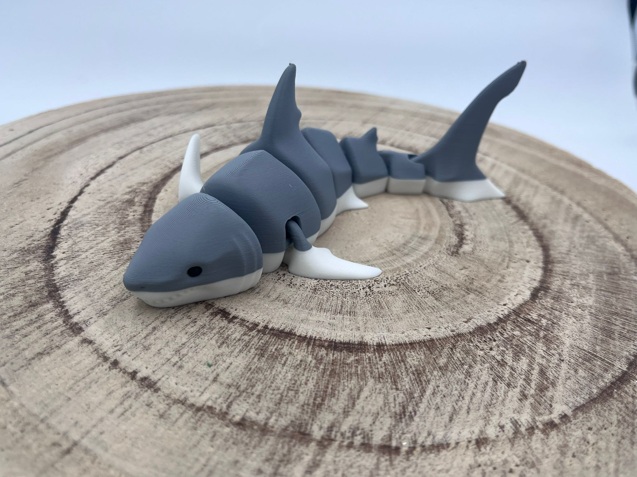 REQUIN ARTICULE
