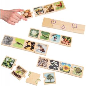 Boite de 6 puzzles en bois, cycles de vie