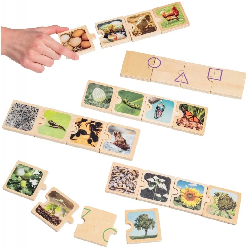 Boite de 6 puzzles en bois, cycles de vie