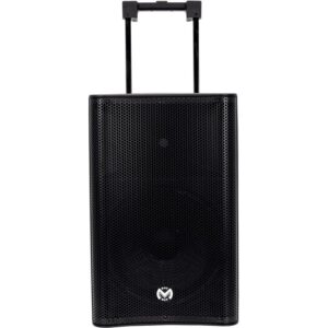 Enceinte portable 500W