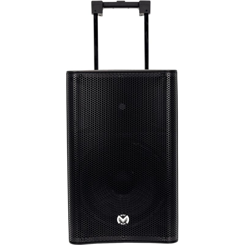 Enceinte portable 500W