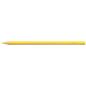 Etui de 24 crayons de couleur Smooth assortis