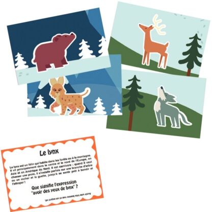 Lot 180 grandes images animaux